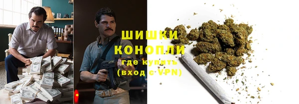 трава Бородино