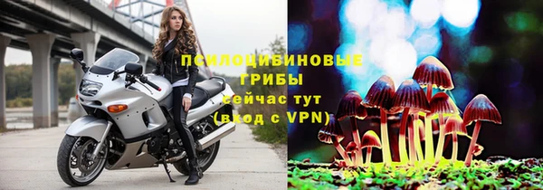 трава Бородино